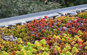 the cost of Deckham green roof installation