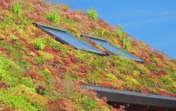 Deckham living roof systems